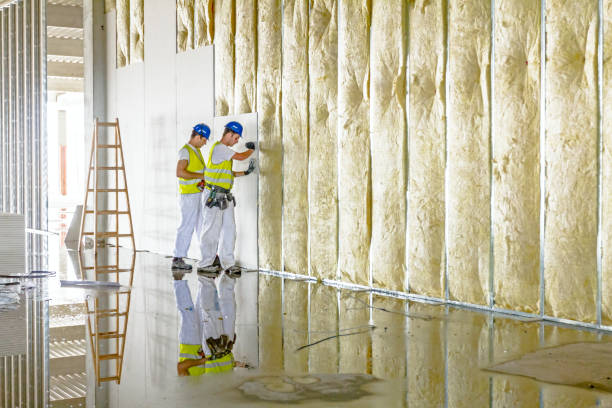 Best Spray Foam Insulation  in Flemington, NJ